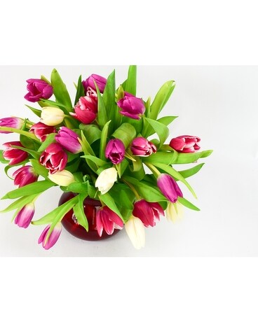 Tulips for You Flower Arrangement