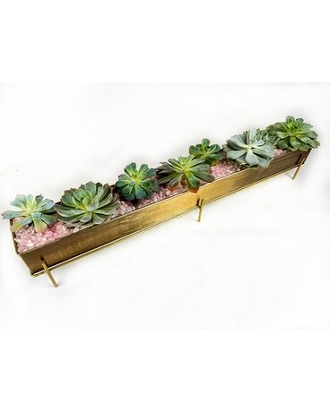 Chez Succulent Planter Plant