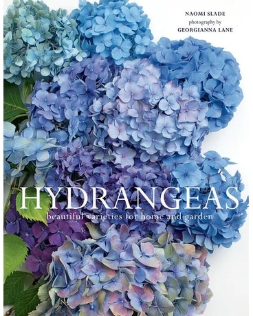 Hydrangea Book Gifts