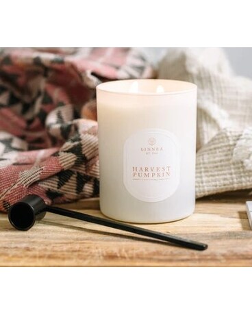 Harvest Pumpkin 2-Wick Candle Gifts