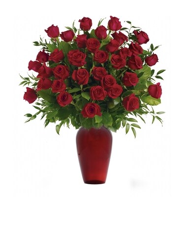 Bed of Roses 3 Dozen Vase Flower Arrangement