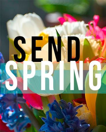 Send Spring Flowers! Flower Arrangement