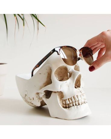 Skull Tidy size,  inches height and  inches wide.