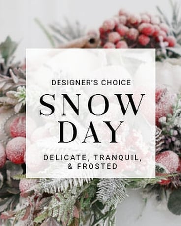 Snow Day | Designer's Choice Flower Arrangement