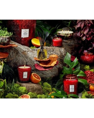 Goji Tarocco Orange Gifts