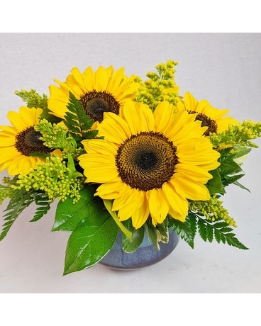 Pacifico Sunflowers Flower Arrangement