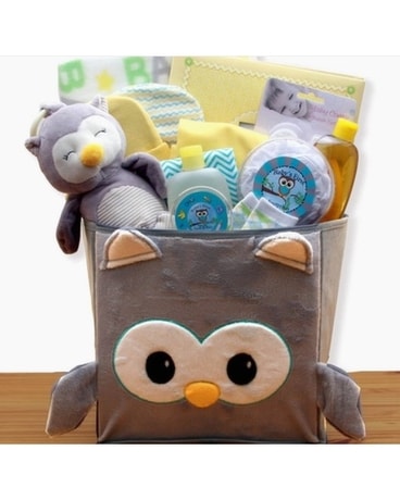 A Little Hoot New Baby Gift Set Gifts