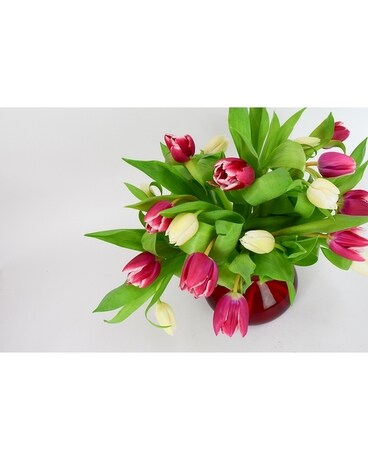 20 Posy Tulips Flower Arrangement