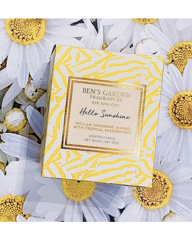 Ben's Garden Candles Gifts