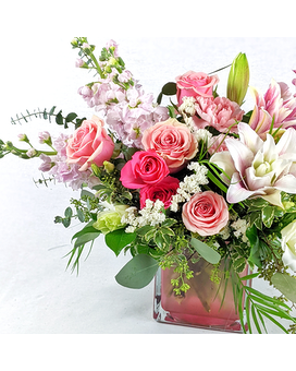 HelloPM | Shown size,  inches height and  inches wide.