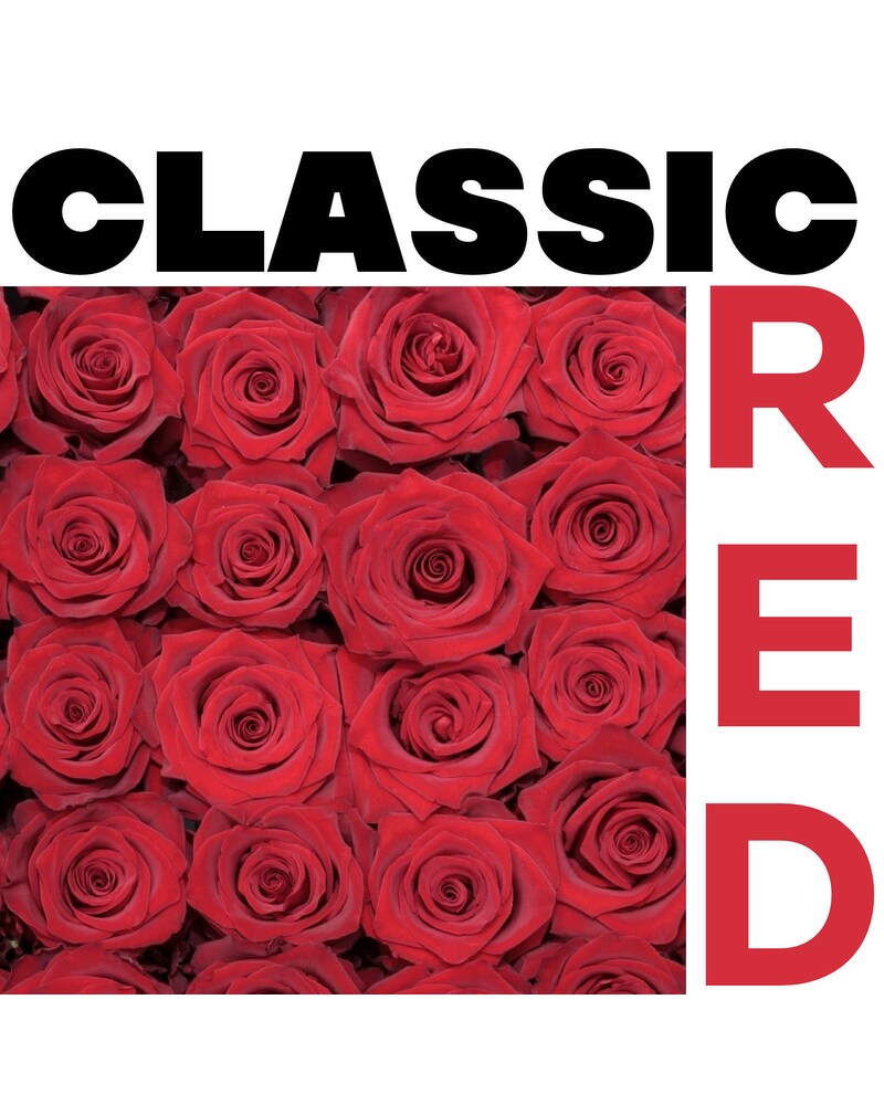 Classic Red Roses Vased in Jonesboro AR - Posey Peddler