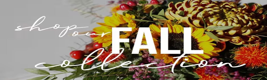 Fall Collection