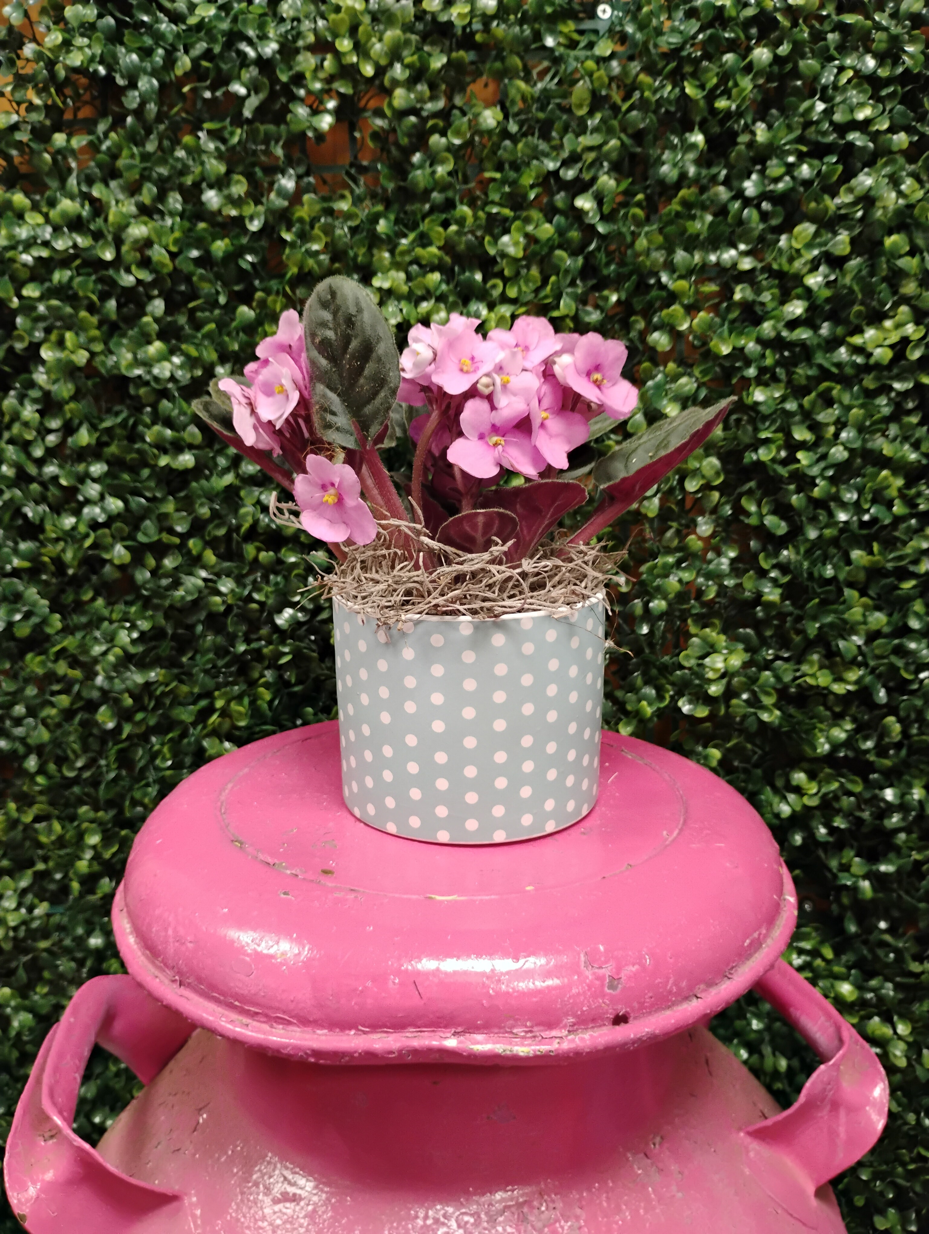 Send Mother's Day Flowers in Simpsonville, SC | Simpsonville