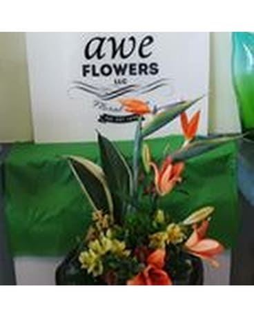 AWE Florist Birds of Paradise Flower Arrangement