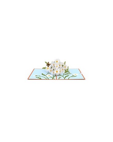 Daisies with Monarch Flower Arrangement
