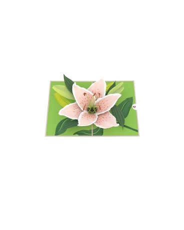 Lily Bloom Flower Arrangement
