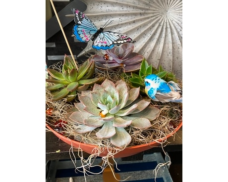 Succulent Garden Flower Arrangement