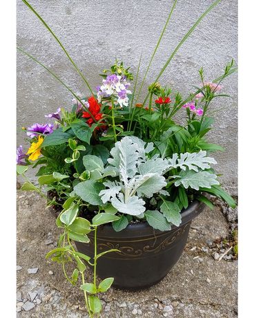 Annual Patio Pot Medium Flower Arrangement