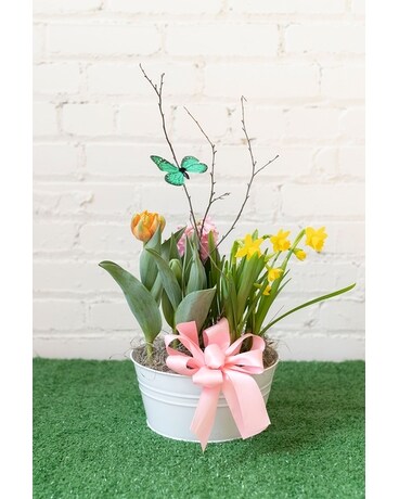 Spring Bulb Garden - Small