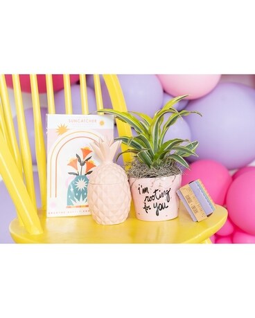 Rooting For You Flower Arrangement