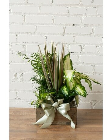 Leaves of Green Planter Flower Arrangement