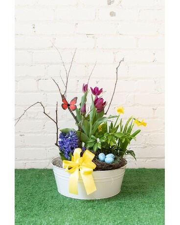Spring Bulb Garden - Large Flower Arrangement