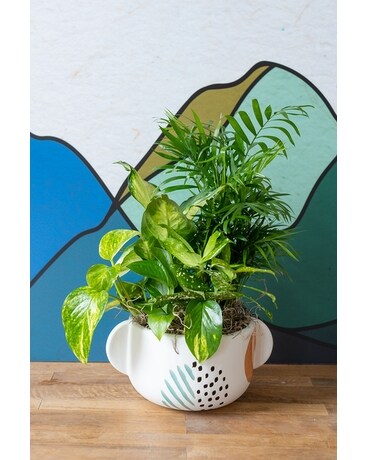 Matisse Planter Flower Arrangement