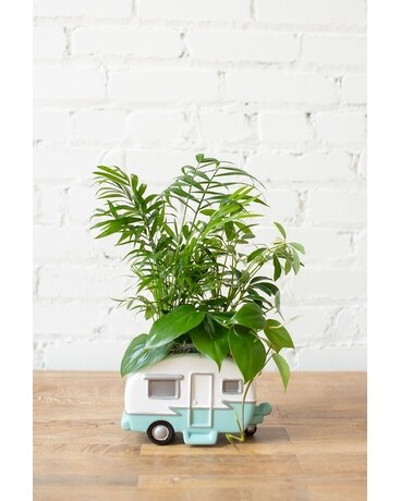 Road Trip Planter Flower Arrangement