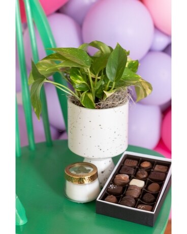Plant Lovers Gift Set Plant