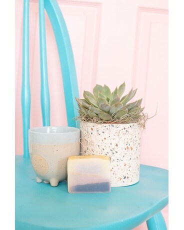 Sweet Succulent Gift Set Flower Arrangement