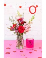 Arrangement + 1 Refill Voucher size,  inches height and  inches wide.