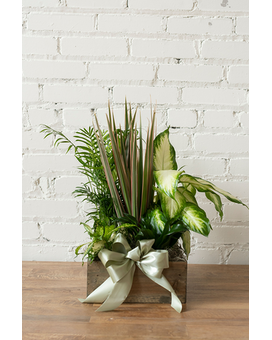 Leaves of Green Planter Flower Arrangement