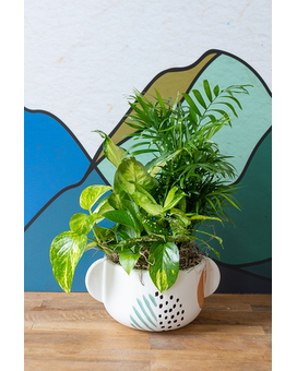 Matisse Planter Flower Arrangement