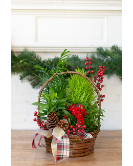 Holiday Cheer Planter Flower Arrangement