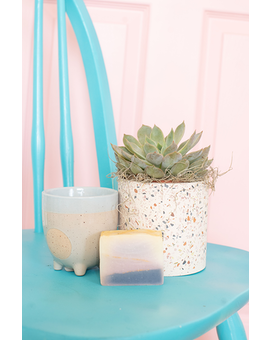 Sweet Succulent Gift Set Flower Arrangement
