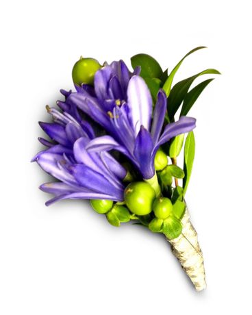 Shut Up and Agapanthus With Me