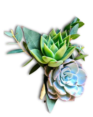 Echeveria Pizzazz Flower Arrangement