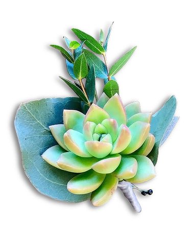 Going Solo Boutonniere Flower Arrangement
