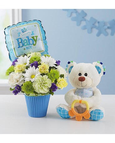 Lotsa Love - Baby Boy Flower Arrangement