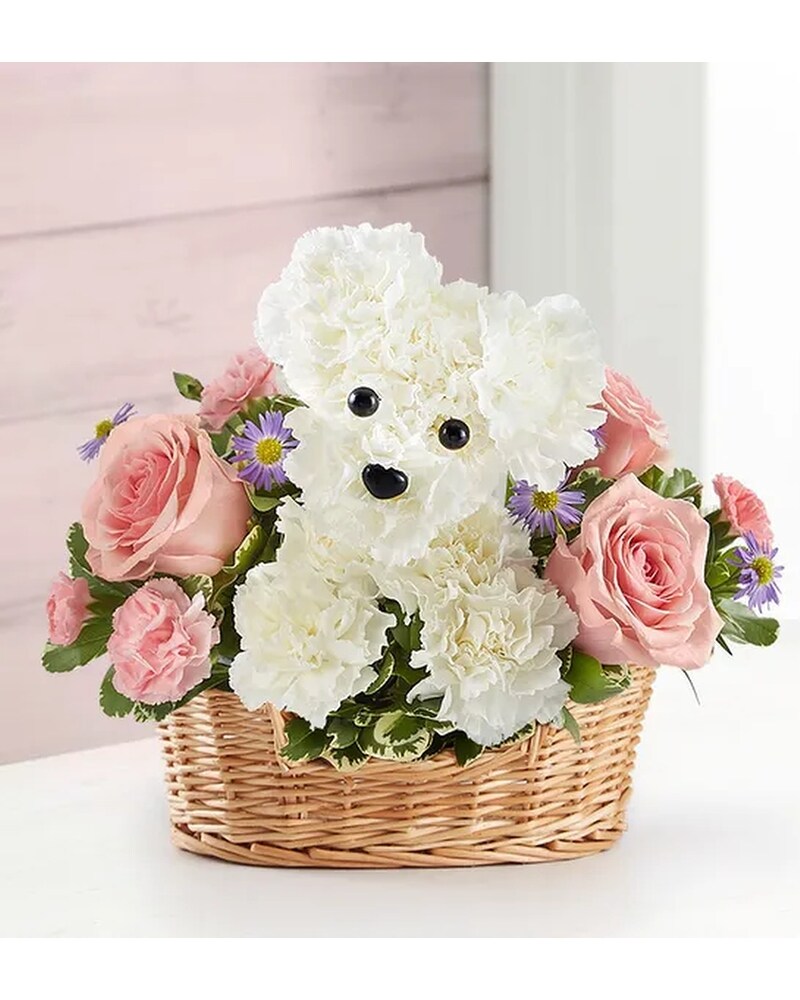 Precious Pup in Seattle WA - Fran's Flowers