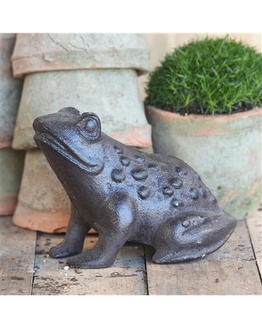 Cast Iron Garden Frog Gifts