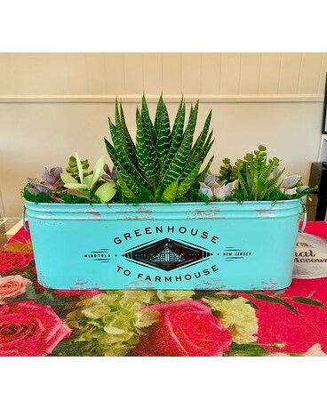 Farmhouse Succulent Garden Plant