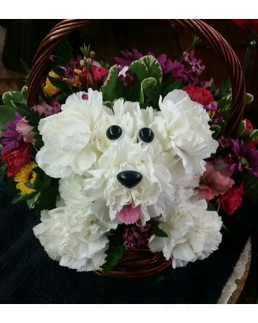 Flower Dog Flower Arrangement