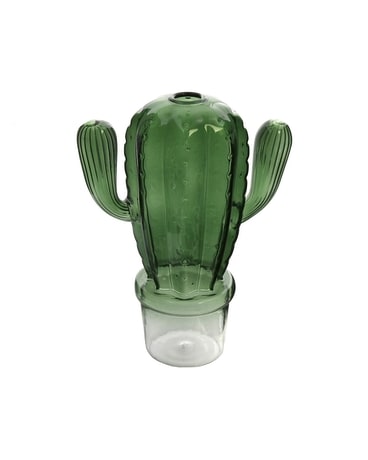 Cactus Vase Gifts
