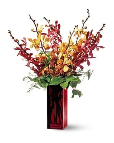 Teleflora's Orchid Splendor Flower Arrangement