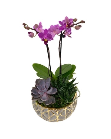 Grey Gold Leaf Planter Plant