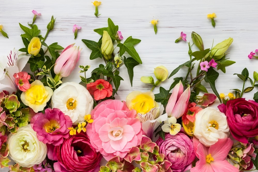 Flower Delivery to Lakeland by Flower Cart of Lakeland