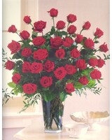 3 Dozen Red Roses size,  inches height and  inches wide.