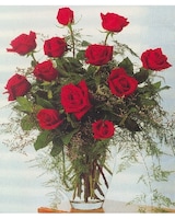 12 Red Roses size,  inches height and  inches wide.
