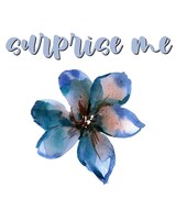 Bouquet size,  inches height and  inches wide.